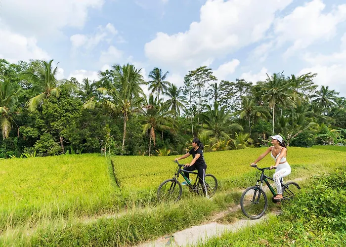 リゾート Puri Gangga Ubud 4*
